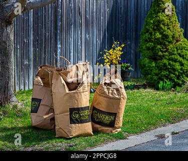 Sacchetti con rifiuti naturali del giardino da lavoro primaverile in giardini e piazze. Ricircolo completo dei prodotti della madre natura. Foto Stock