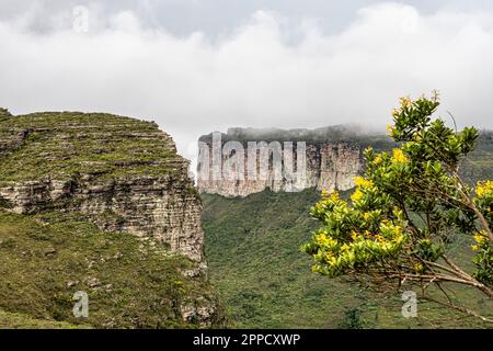 Vista dalla cima della collina del padre inacio, morro do pai inacio, Chapada Diamantina, Bahia, Brasile in Sud America Foto Stock