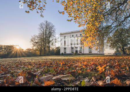 La Germania, Amburgo, parte di fronte a Jenisch House all'alba dell'autunno Foto Stock