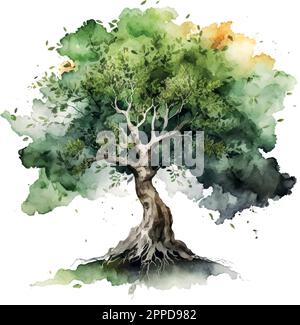 Bodhi albero di Fig Sacro Acquerello Vector Illustration. Illustrazione Vettoriale