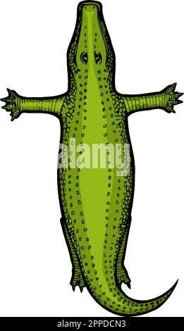 alligatore a forma di lettera t Illustrazione Vettoriale