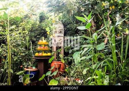 Gabbia di uccelli e mele fresche sul cakestand in piedi in lussureggiante giardino casa Foto Stock