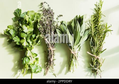 Varietà di erbe verdi fresche disposte sul tavolo a casa Foto Stock