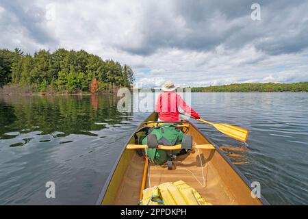 Acque calme su un lago Wilderness sul lago Clark, nella Sylvania Wilderness nel Michigan Foto Stock