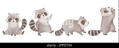 Raccoon . Disegno di pittura di acquerello . Set di carino animal cartone animato carattere . Vettore . Illustrazione Vettoriale