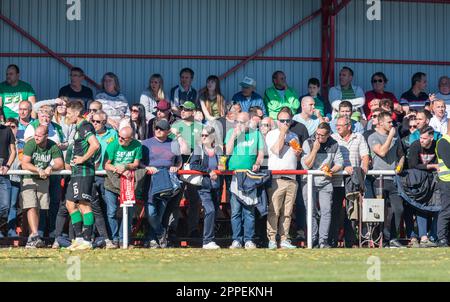 Ivancsa, Ungheria – 19 ottobre 2022. Ferencvaros tifosi negli stand del Karolyi Istvan Sporttep campo sportivo a Ivancsa, Ungheria. Vista durante l'Hungar Foto Stock