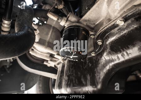 Perdite di olio dal filtro dell'olio motore, chiudere un filtro dell'olio vecchio. Concetto di manutenzione della vettura. Foto Stock