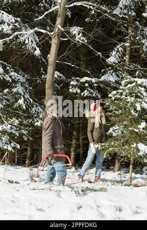 Amici in foresta innevata con una sega alla ricerca di un albero di natale, Baviera, Germania Foto Stock
