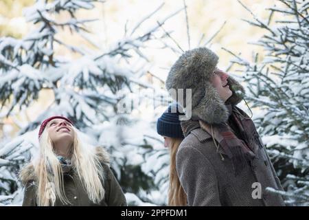 Amici in foresta nevosa alla ricerca di un albero di natale, Baviera, Germania Foto Stock