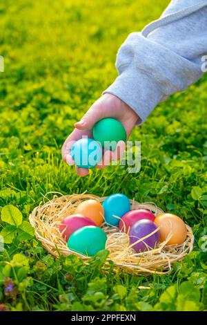 L'uovo di pasqua Hunt.child raccoglie le uova colorate in un prato primaverile Foto Stock