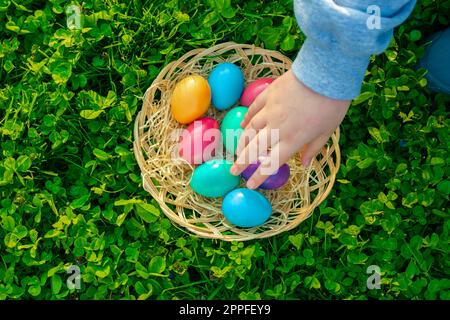 Uova di pasqua in un cestino in trifoglio verde. La mano dei bambini mette uova colorate Foto Stock