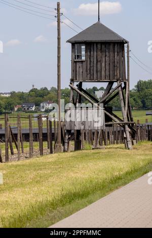 Campo di concentramento e sterminio di Majdanek (Konzentrationslager Lublino), vista della torre di guardia in legno e della recinzione in filo spinato, Majdanek Lublino Polonia Foto Stock