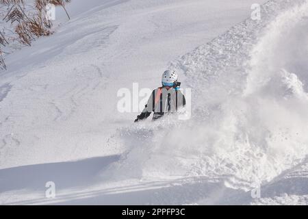 Snowboard sulla neve profonda free ride Foto Stock