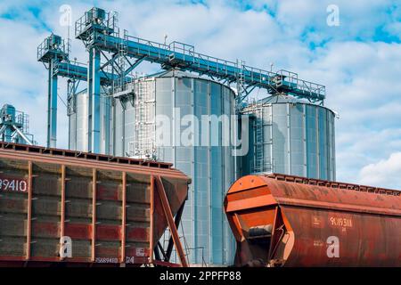 Primo piano dei carrelli ferroviari con granella sull'elevatore granella Foto Stock