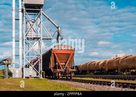 Vista posteriore dei vagoni ferroviari con grano in corrispondenza dell'elevatore della granella Foto Stock