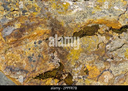 tessitura di pietra limonitica gemologia Foto Stock