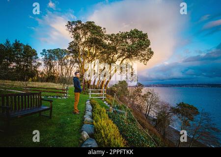 Un uomo si trova vicino a Puget Sound Foto Stock