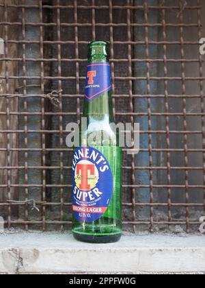 TORINO - CIRCA MAGGIO 2022: Bottiglia di birra di Tennent Foto Stock