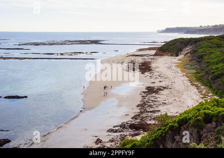 L'aspra ma bella costa di Mushroom Reef Marine Sanctuary - Flinders, Victoria, Australia Foto Stock