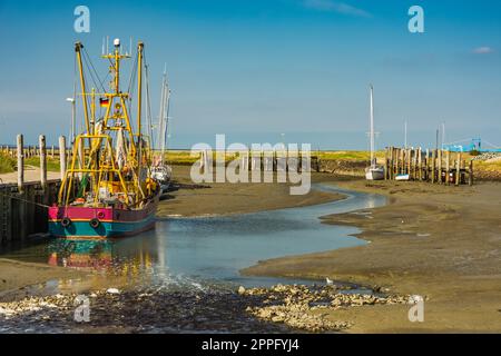Porto di Hallig Hooge con la bassa marea, Frisia del Nord, Schleswig-Holstein, Germania Foto Stock