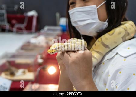 Ragazza che tiene un pitone a palla Foto Stock