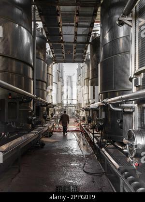 Un lavoratore che va tra vasche d'acciaio per la fermentazione del vino in una moderna cantina Foto Stock