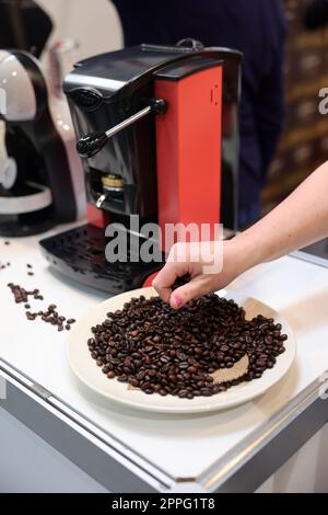 Il barista verifica la qualità dei chicchi di caffè prima di versarli nella macchina da caffè Foto Stock