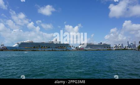 Porto di Miami con navi da crociera. Miami è un porto importante negli Stati Uniti per le navi da crociera. Foto Stock