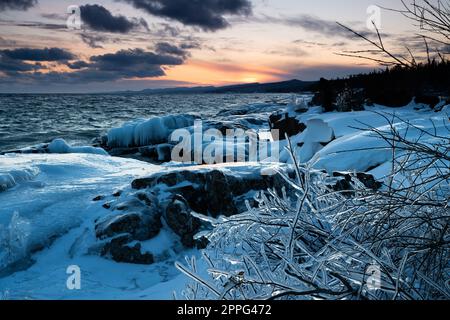 Frozen Bush di fronte al tramonto sul lago in inverno Foto Stock