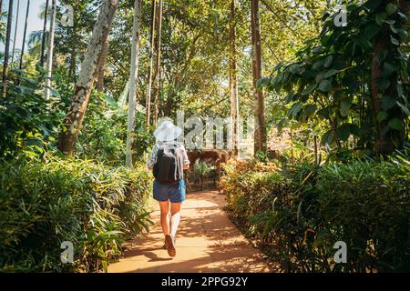 Goa, India. Giovane donna zaino in spalla a piedi attraverso il giardino botanico in Sunny Day Foto Stock