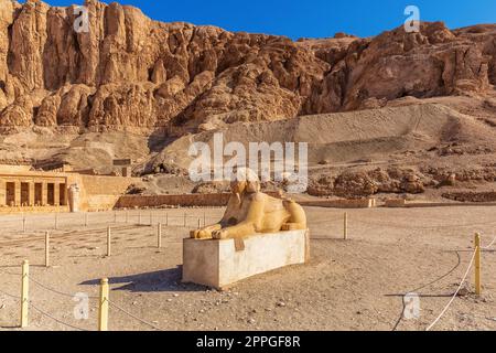 Statua della Sfinge di fronte al Tempio di Hatshepsut, Luxor, Egitto Foto Stock