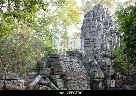 Cambogia: La deserta porta Est, Angkor Thom, Angkor. Angkor Thom si trova ad un miglio a nord di Angkor Wat. Fu costruito alla fine del 12th ° secolo dal re Jayavarman VII, e copre un'area di 9 km², all'interno del quale si trovano diversi monumenti di epoche precedenti così come quelli stabiliti da Jayavarman e i suoi successori. Al centro della città si trova il tempio di stato di Jayavarman, il Bayon, con gli altri siti principali raggruppati intorno alla Piazza della Vittoria immediatamente a nord. Foto Stock