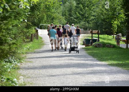 Wildpark a GrÃ¼nau im Almtal, Ã–sterreich - Parco naturale a GrÃ¼nau im Almtal, Austria Foto Stock