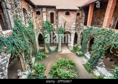 Monastero di Rosa Coeli, Dolni Kounice, Repubblica Ceca Foto Stock