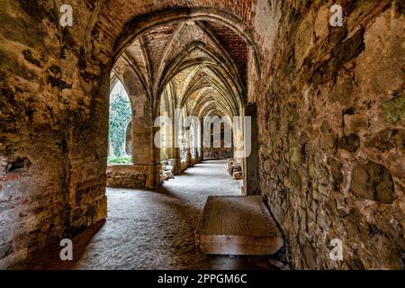 Monastero di Rosa Coeli, Dolni Kounice, Repubblica Ceca Foto Stock