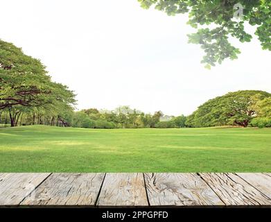 prato verde in giardino con grande albero e pavimento in legno Foto Stock