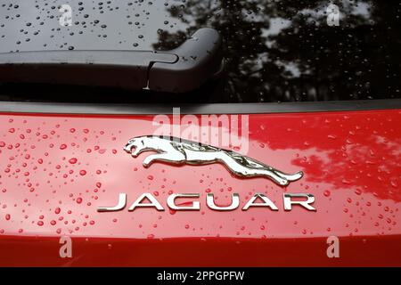 Primo piano del segnale Jaguar Wet Luxury Foto Stock