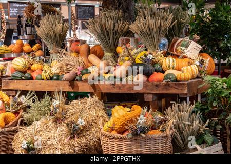 Decorazioni autunnali del Ringraziamento. Assortimento colorato di zucche, zucche e zucche su scaffali di legno e balle di paglia in un mercato di raccolta. Foto Stock