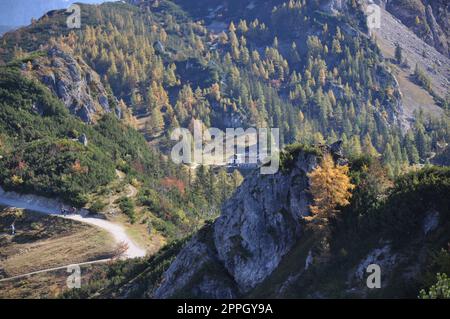 Piccolo pascolo montano nelle montagne intorno a Berchtesgaden, vicino al monte Jenner, Baviera Foto Stock