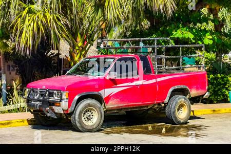 Vari pick-up messicani auto 4x4 fuoristrada Messico. Foto Stock