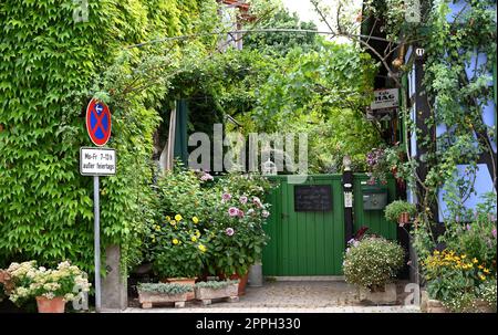 Cultura del giardino a Rheinzabern Foto Stock