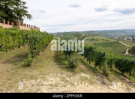 Langhe vigneti vicino Grinzane Cavour. Piemonte, Italia Foto Stock