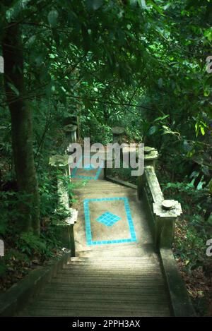 Scala sulla giungla che conduce alla cascata di Kathu, nella provincia di Phuket, Tailandia. Foto Stock