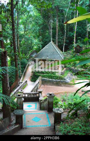 Scala sulla giungla che conduce alla cascata di Kathu, nella provincia di Phuket, Tailandia. Foto Stock