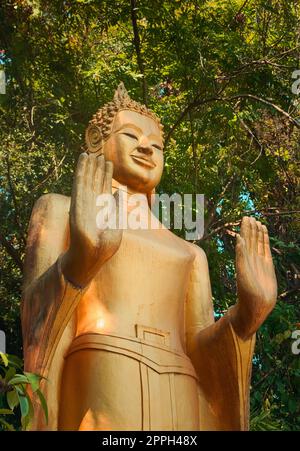Statua dorata di Buddha in piedi nella giungla, sulla strada per la cima del Monte Phou si, una montagna sacra a Luang Prabang, Laos. Foto Stock