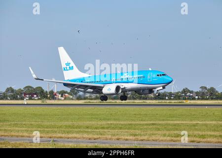Aeroporto di Amsterdam Schiphol - Boeing 737-7K2 di KLM atterra Foto Stock