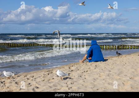 Un uomo che indossa una giacca blu seduto sulla spiaggia sabbiosa, gabbiani che volano sopra la sua testa, Mar Baltico, Miedzyzdroje, Polonia Foto Stock