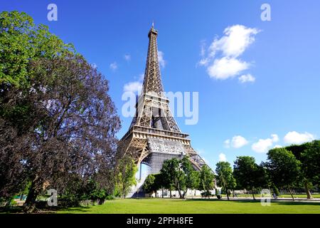 La Torre Eiffel vista dal Champ de Mars, Parigi, Francia Foto Stock