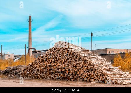 Un mucchio di tronchi con un grande tubo di una centrale termica sullo sfondo Foto Stock