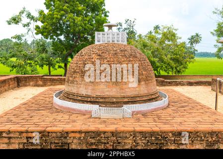 La storica Sandagiri Stupa in Tissamaharama nel sud dello Sri Lanka Foto Stock